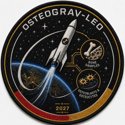 Mission_Patch.png  