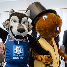 Seawolves_Bibo.jpg  