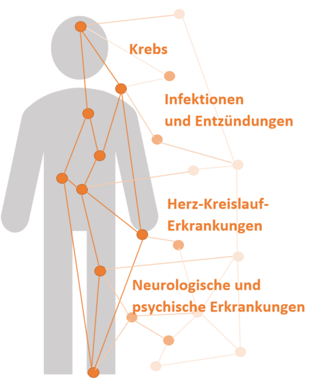 Erkrankungsschwerpunkte_neutral__2_.png  